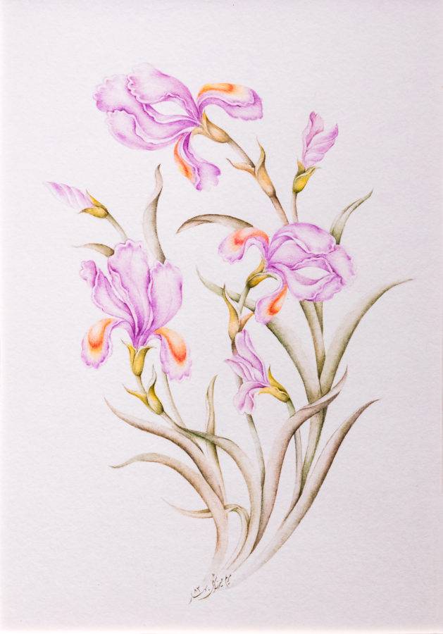 Flower and Birds: Carnation & Iris II by Maryam Mirzaei